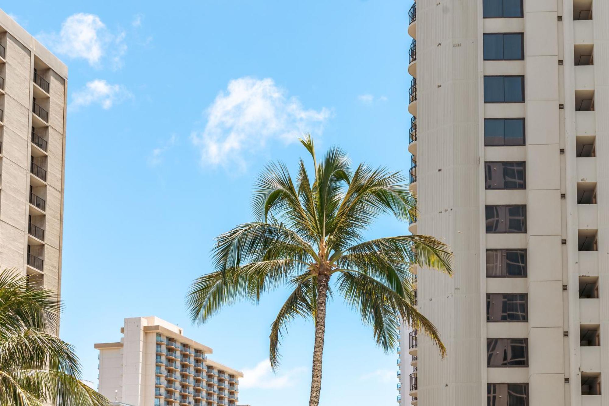 Ocean & Diamond Head Views - Near Beach - Parking! Honolulu Kültér fotó