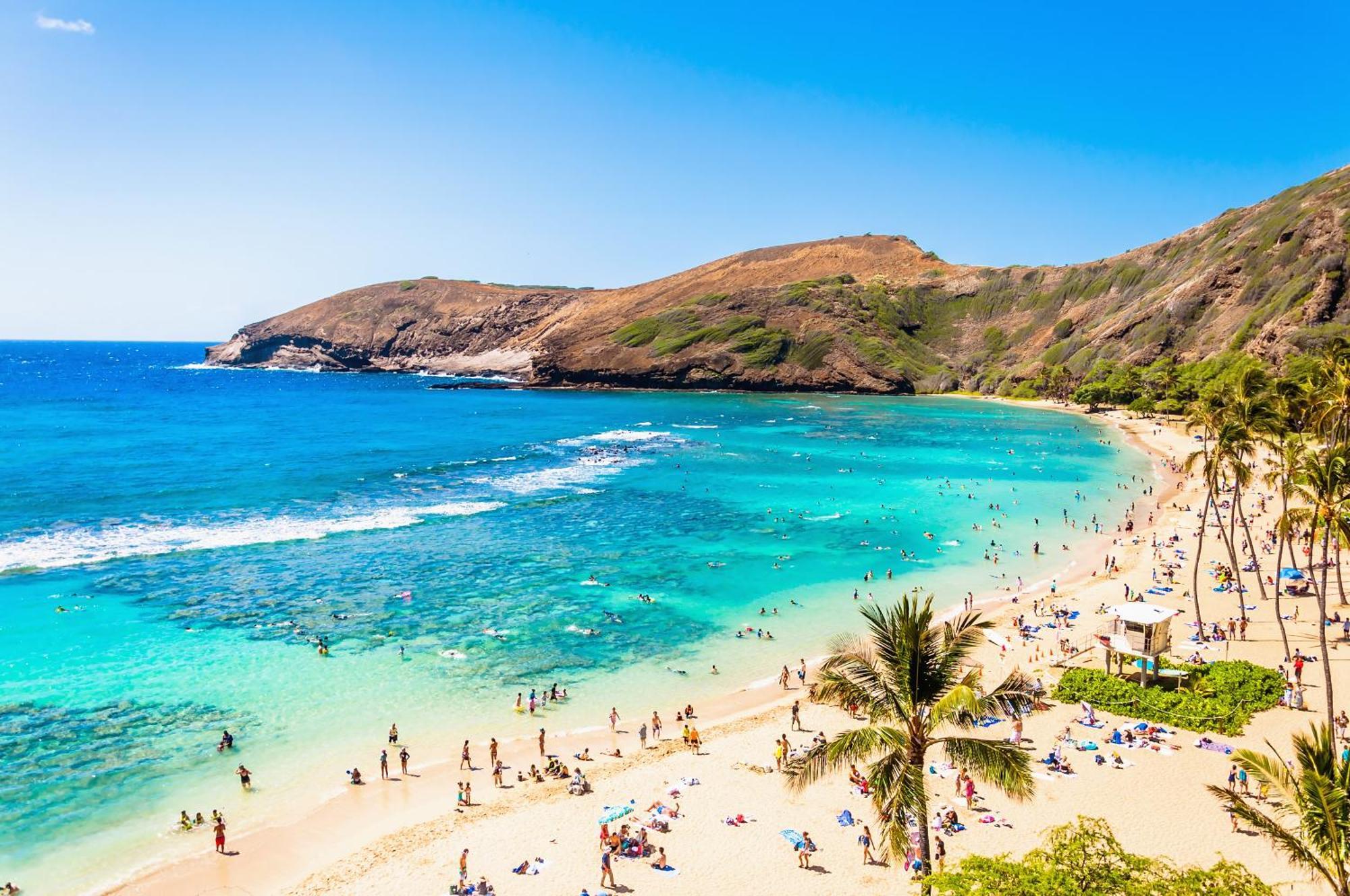 Ocean & Diamond Head Views - Near Beach - Parking! Honolulu Kültér fotó